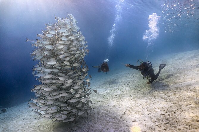 (2 Dives) Discover Scuba Diving Kota Kinabalu - Timing, cancellations, and weather concerns