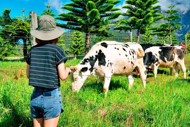 2d1n Kinabalu Park & Poring Canopy Walk & Desa Cow Farm Tour - Key points before you book