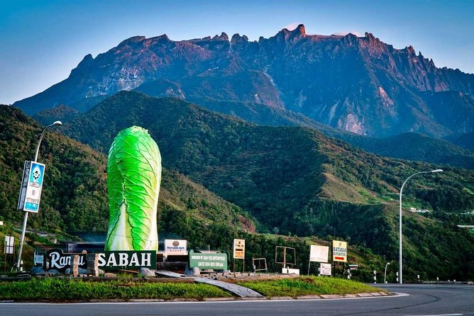 2d1n Kinabalu Park & Poring Canopy Walk & Desa Cow Farm Tour - The 175-meter canopy walk above ancient forest