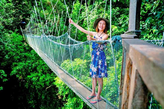 2d1n Kinabalu Park & Poring Canopy Walk & Desa Cow Farm Tour - Mount Kinabalu Botanical Garden: a compact lesson in plant life