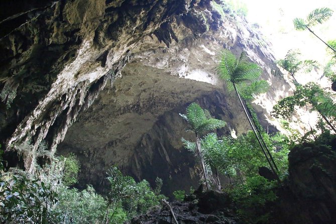 3 Days 2 Nights Unesco World Heritage Mulu 4 Showcaves - Booking, weather, and cancellation details