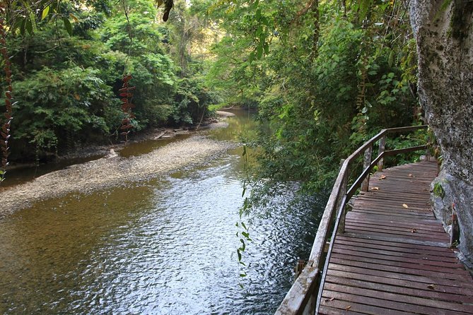 3 Days 2 Nights Unesco World Heritage Mulu 4 Showcaves - Day 2: Longboats, Penan culture, Wind Cave, and Clearwater