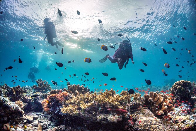 (3 Days) PADI Open Water Diver Course Kota Kinabalu - Is $437.93 a fair price?