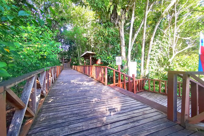 3D2N Sukau Wildlife Experience - The 4:00 PM cruise for monkeys and birds