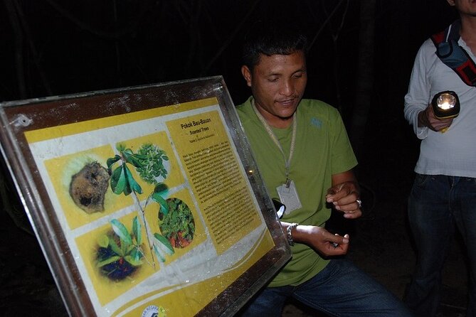 4-Day Jungle Experience in Taman Negara from Kuala Lumpur - Day two: Teresek Hill and the pools at Lata Berkoh