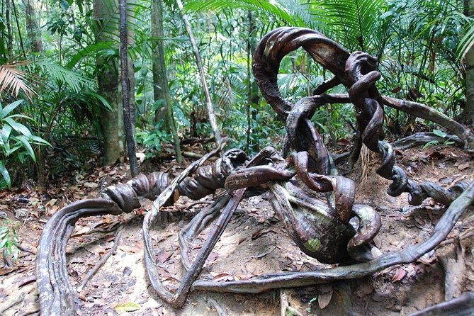 4-Day Jungle Experience in Taman Negara from Kuala Lumpur - Accommodation, meals, and group size
