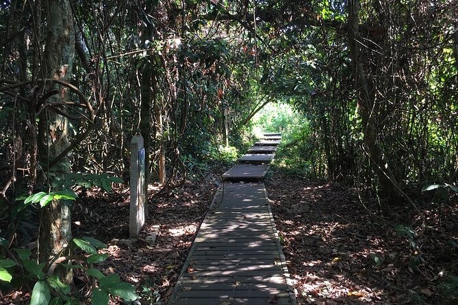 4-Day Jungle Experience in Taman Negara from Kuala Lumpur - Day one: road transfer, river travel, and a night forest walk