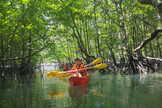 5 Hours Kilim Mangrove Kayaking Sharing Tour (With Hotel Pickup) - Why kayaking gives you a better look at Kilim’s mangroves