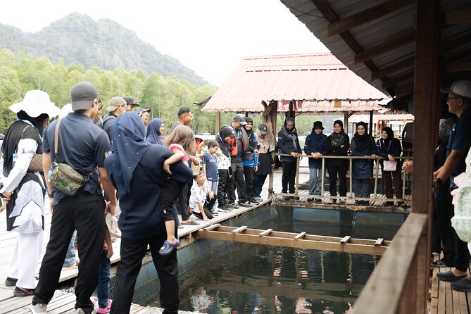 5 Hours Mangrove Boat Tour in Langkawi - A 20-minute swim in the Andaman Sea