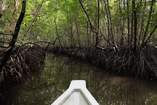5 Hours Mangrove Boat Tour in Langkawi - Bat Cave: a short stop with a small extra fee