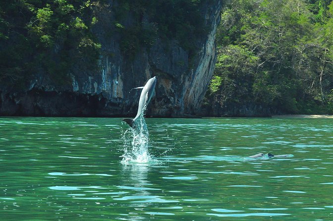 5 Hours Sharing Basis Kilim Mangrove Safari Boat Tour in Langkawi - Guides who shape the experience