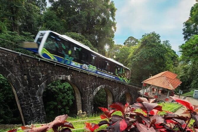 6 Hours Enchanting Exploration in Penang - Key points before you book