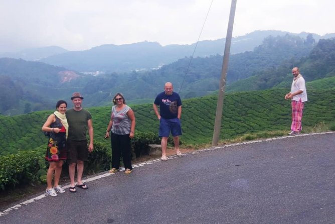 Amazing Cameron Highland Day Tour From Kuala Lumpur - Butterfly Garden: more than butterflies