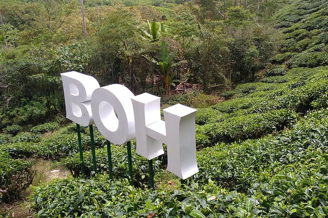 Amazing Cameron Highland Day Tour From Kuala Lumpur - Lata Iskandar Waterfall: a lively first stop