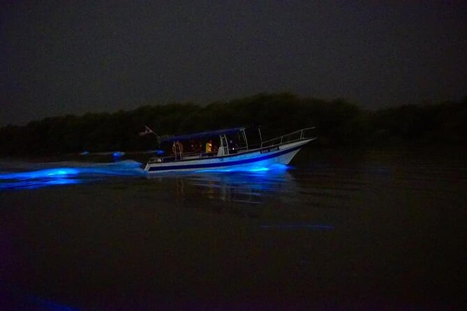 Amazing Fireflies With Blue Tears Watching & Kuala Selangor Tour - Blue tears: fascinating, faint, and highly weather dependent