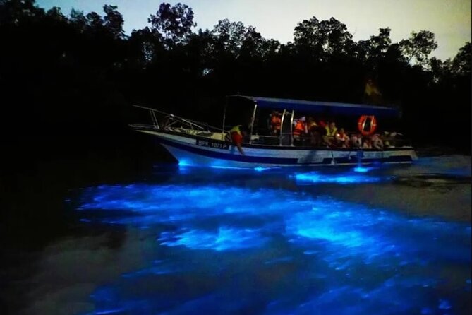 Amazing Fireflies With Blue Tears Watching & Kuala Selangor Tour - Bukit Melawati, monkeys, and the Strait of Malacca