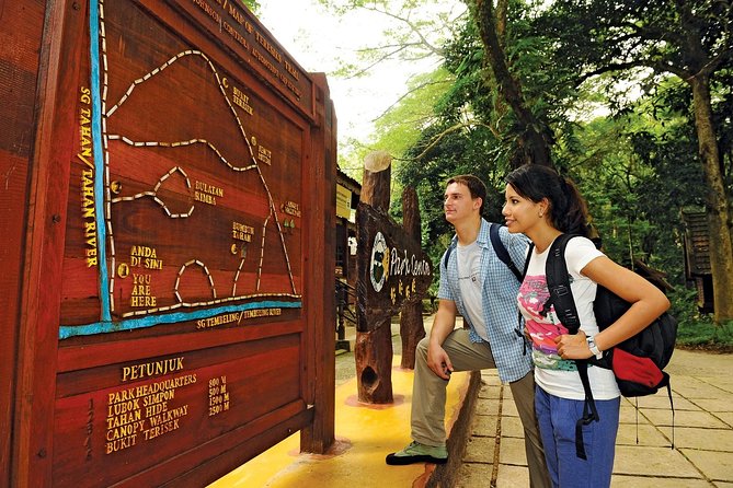 Amazing Taman Negara Day Trip from Kuala Lumpur Including Lunch - Why this Taman Negara day trip works