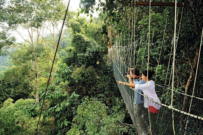 Amazing Taman Negara Day Trip from Kuala Lumpur Including Lunch - Crossing the 530-meter canopy walkway
