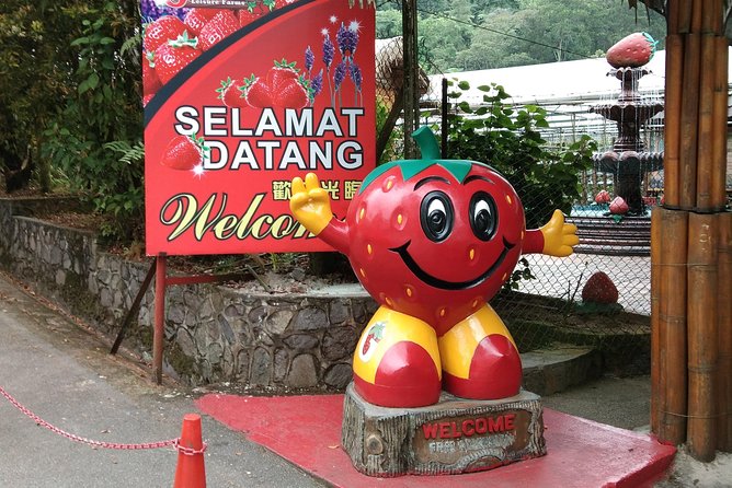 Batu Caves and Genting Highland Tour - Cancellation and weather details