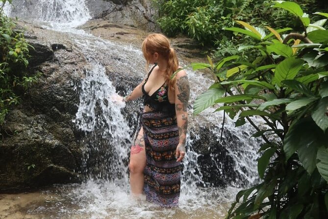 Batu Caves, Waterfalls, Hotspring, Batik & Pewter Tour with Lunch - Painting batik at Jadi Batek Gallery