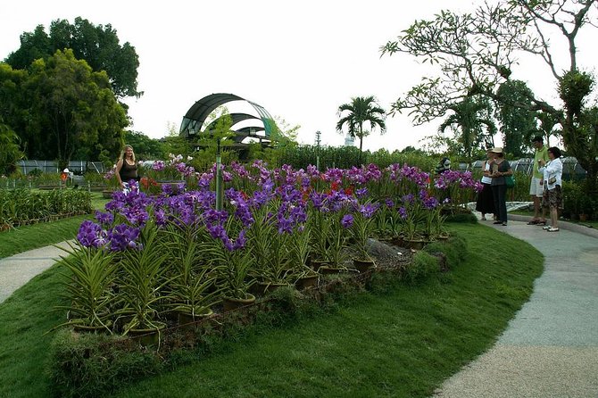 Bird Park & Butterfly Farm Nature Include All Entrance Tour From Kuala Lumpur - Kuala Lumpur Bird Park: birds close to the path