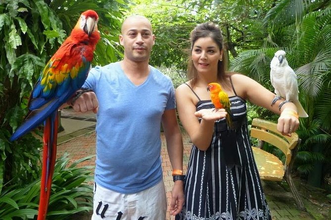 Bird Park & Butterfly Farm Nature Tour From Kuala Lumpur - Taman Orkid and More Than 800 Orchid Varieties