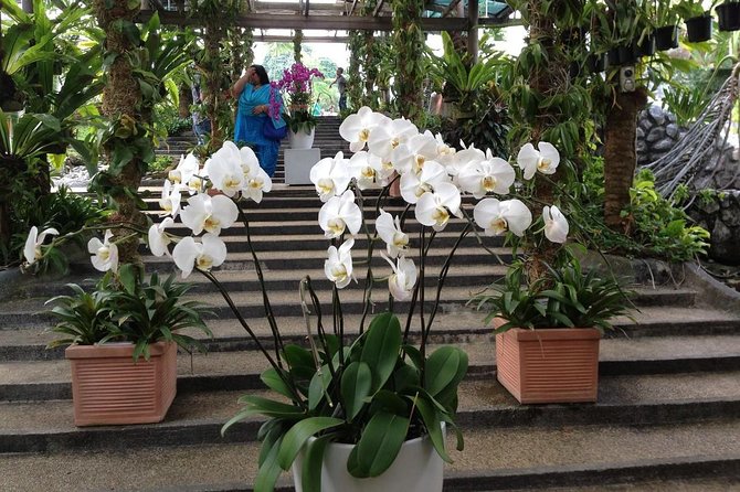 Bird Park & Butterfly Farm Nature Tour From Kuala Lumpur - What the $34 Price Really Covers