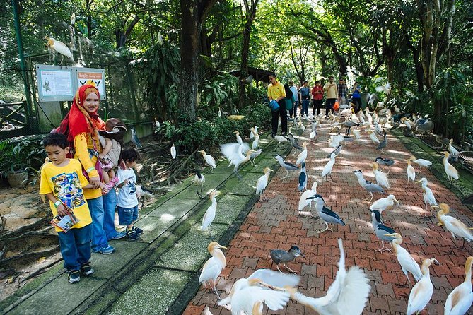 Bird Park & Butterfly Farm Nature Tour From Kuala Lumpur - Should You Book It?