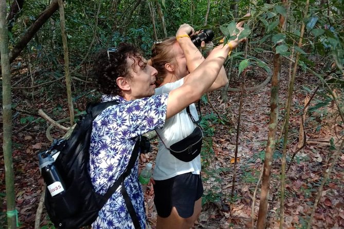Birdwatching: Desaru's Winged Gems - What you can expect at the Desaru Coast stop