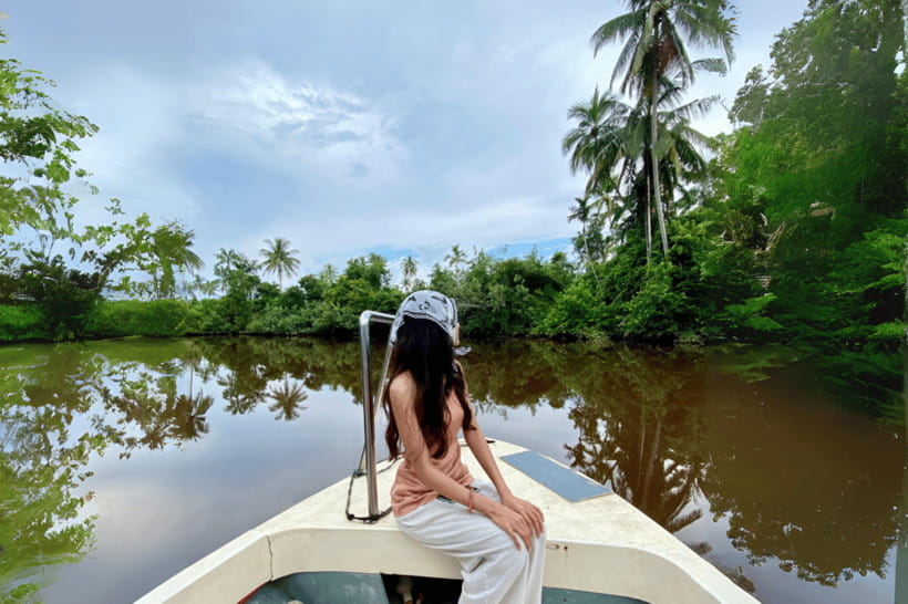 Bongawan River Cruise: Proboscis Monkey & Fireflies Mangrove - The long road to Bongawan