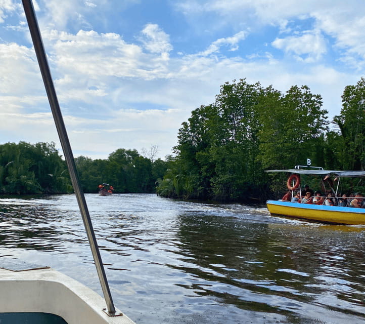 Bongawan River Cruise: Proboscis Monkey & Fireflies Mangrove - The Sky Mirror sunset depends on the sky