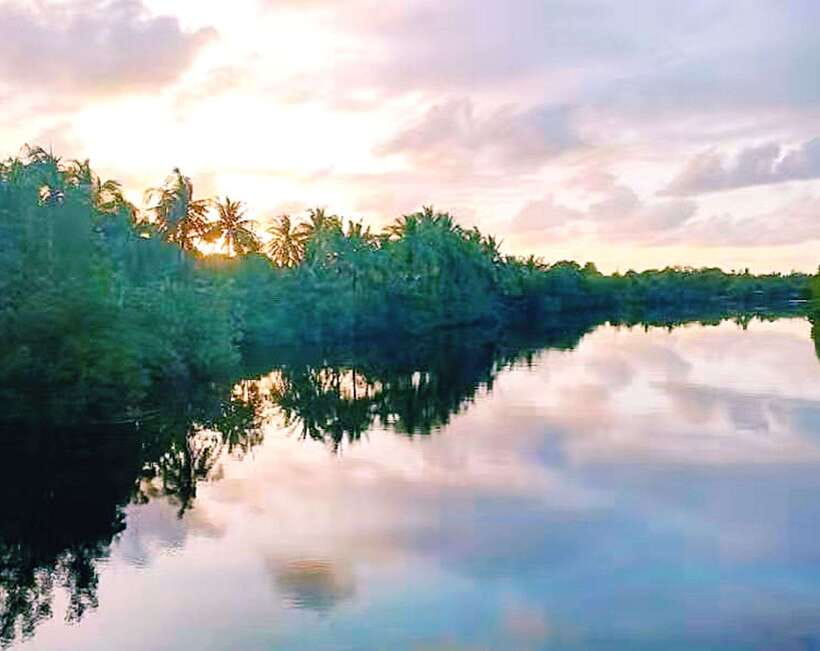 Bongawan Wetland: Proboscis Monkey and Fireflies Shared Tour - Sunset at the beach and the Mirror of the Sky
