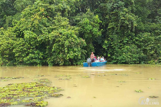 Borneo Kinabatangan River Cruise Day Trip - What the guide and boat service add
