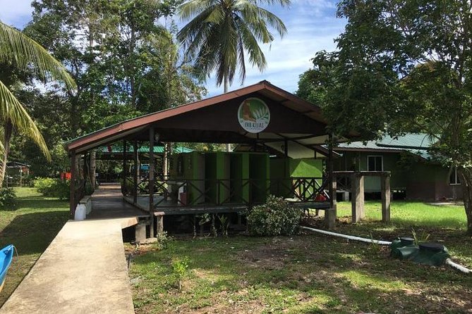 Borneo (Klias) River Cruise & Fireflies Tour - Why the fireflies are worth the long road from Kota Kinabalu