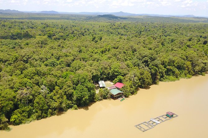 Borneo Wildlife Tour 2 Days 1 Night At Tanjung Bulat Jungle Camp Kinabatangan - The noon pickup from Sandakan or Sepilok