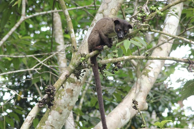 Borneo Wildlife Tour 2 Days 1 Night At Tanjung Bulat Jungle Camp Kinabatangan - Arriving at a real jungle camp
