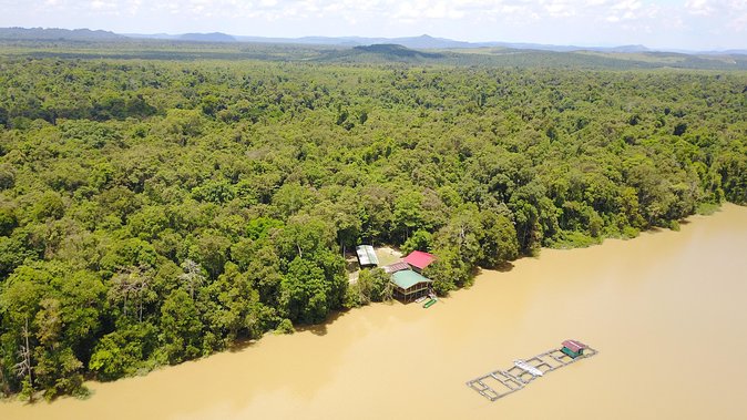 Borneo Wildlife Tour 3 Days 2 Nights At Tanjung Bulat Jungle Camp Kinabatangan - Is $270 a fair price?
