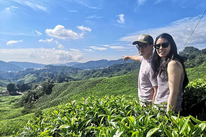 Cameron Highland Best Day Tour from Ipoh with Lunch ( Day Trip) - The mountain road and the early start