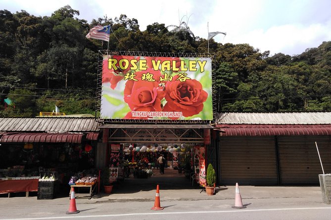 Cameron Highland Private Day Tour - Ee Feng Gu Bee Farm and the family-friendly pause