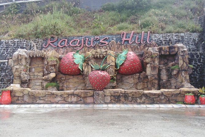 Cameron Highland Private Day Tour - Tea at Cameron Valley or Bharat Tea