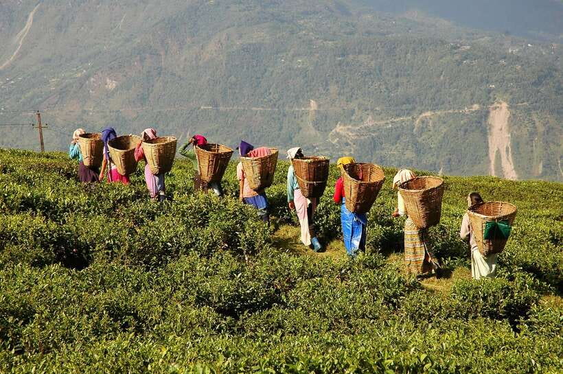 Cameron Highlands 1 Day Tour from Kuala Lumpur - The road from Kuala Lumpur to the cool hills