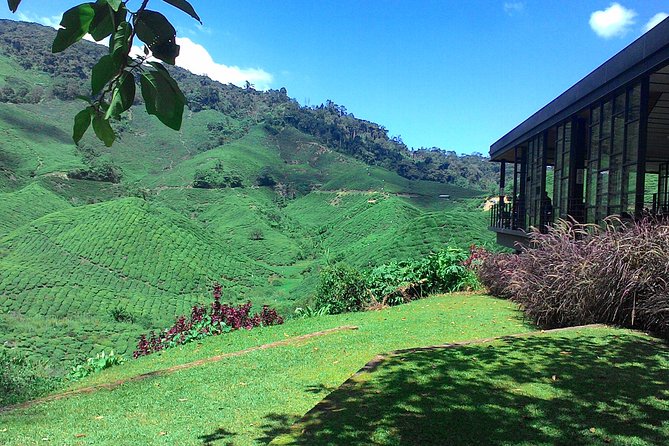 Cameron Highlands 3 Days 2 Night Tours Private (per Vehicle) - Why three days works better than a quick Cameron Highlands visit