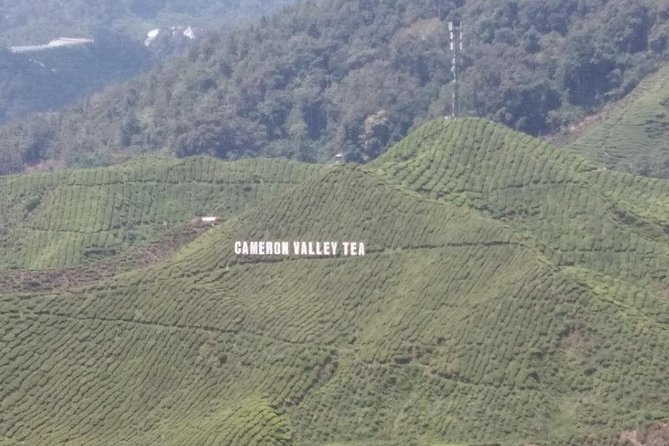 Cameron Highlands 3 Days 2 Night Tours Private (per Vehicle) - The road up from Kuala Lumpur and Lata Iskandar