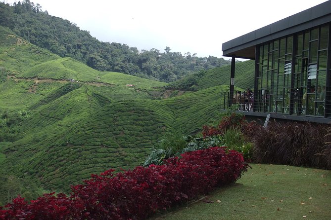Cameron Highlands Amazing Day Trip Tour with Local Lunch - Why this Cameron Highlands day trip works