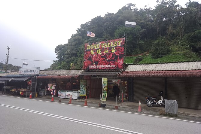 Cameron Highlands Day Trip - What the private format really adds