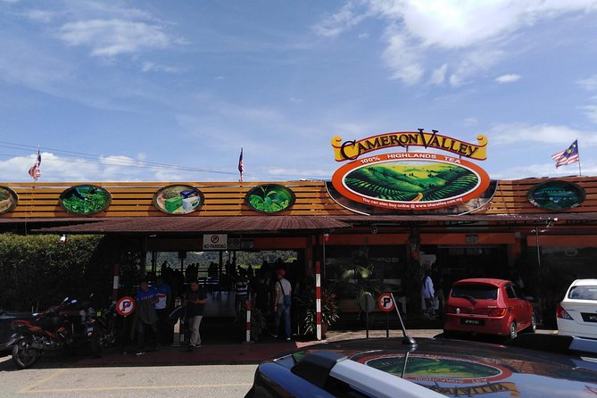 Cameron Highlands Day Trip From Kuala Lumpur - Big Red Strawberry Farm is short, colorful, and easy to browse