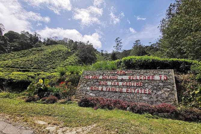 Cameron Highlands Full-Day Nature Tour - BOH Tea Plantation and the highland view