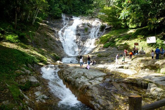 Cameron Highlands Full-Day Nature Tour - Big Red Strawberry Farm in Brinchang
