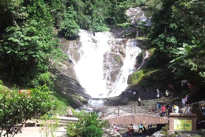 Cameron Highlands Full-Day Nature Tour - What the private format really gives you