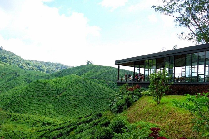 Cameron Highlands Full-Day Nature Tour - Lata Iskandar waterfall and roadside stalls